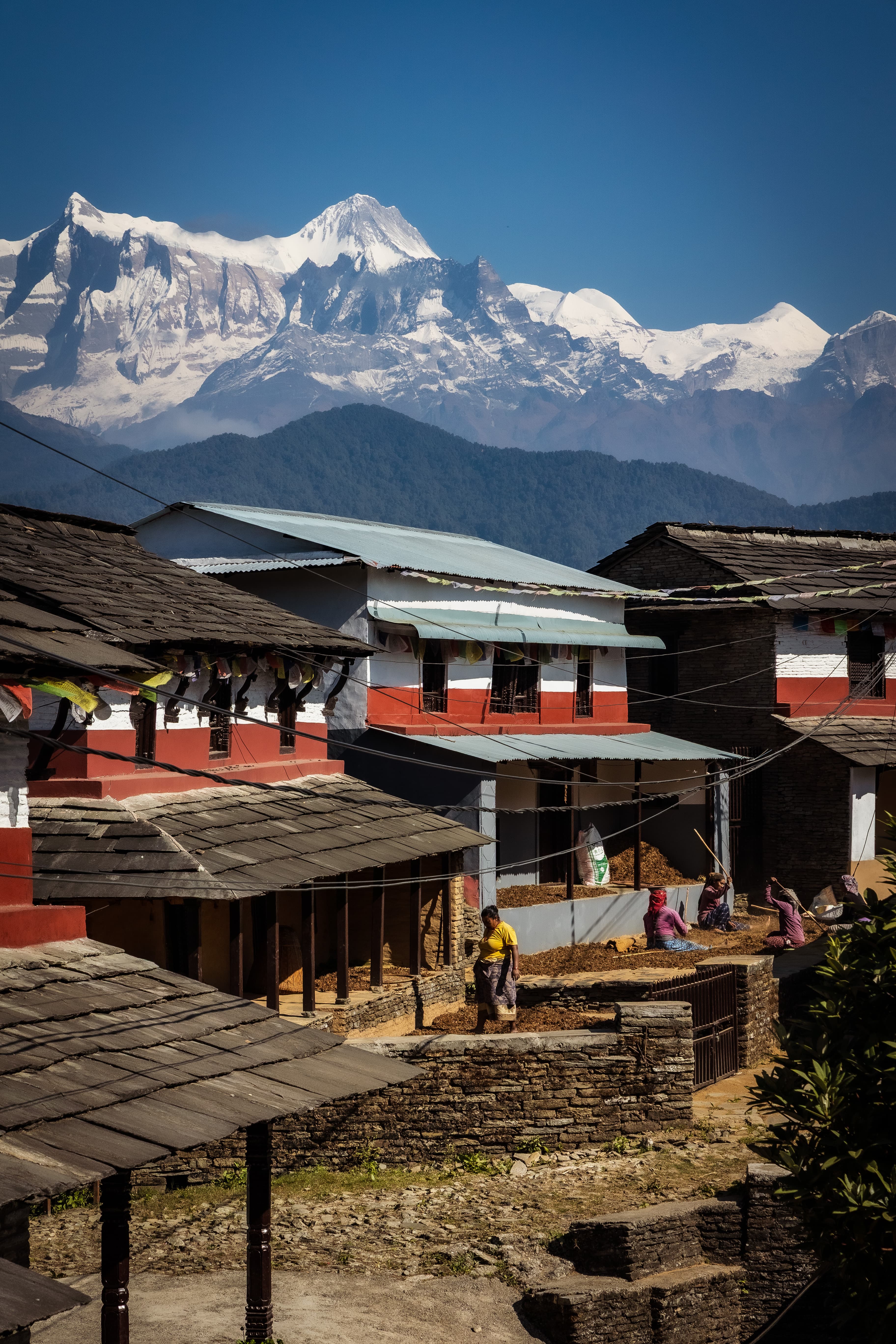20251117-Loek van Doorn _ Nepal 2025 _ Dhampus-39 copy.jpg