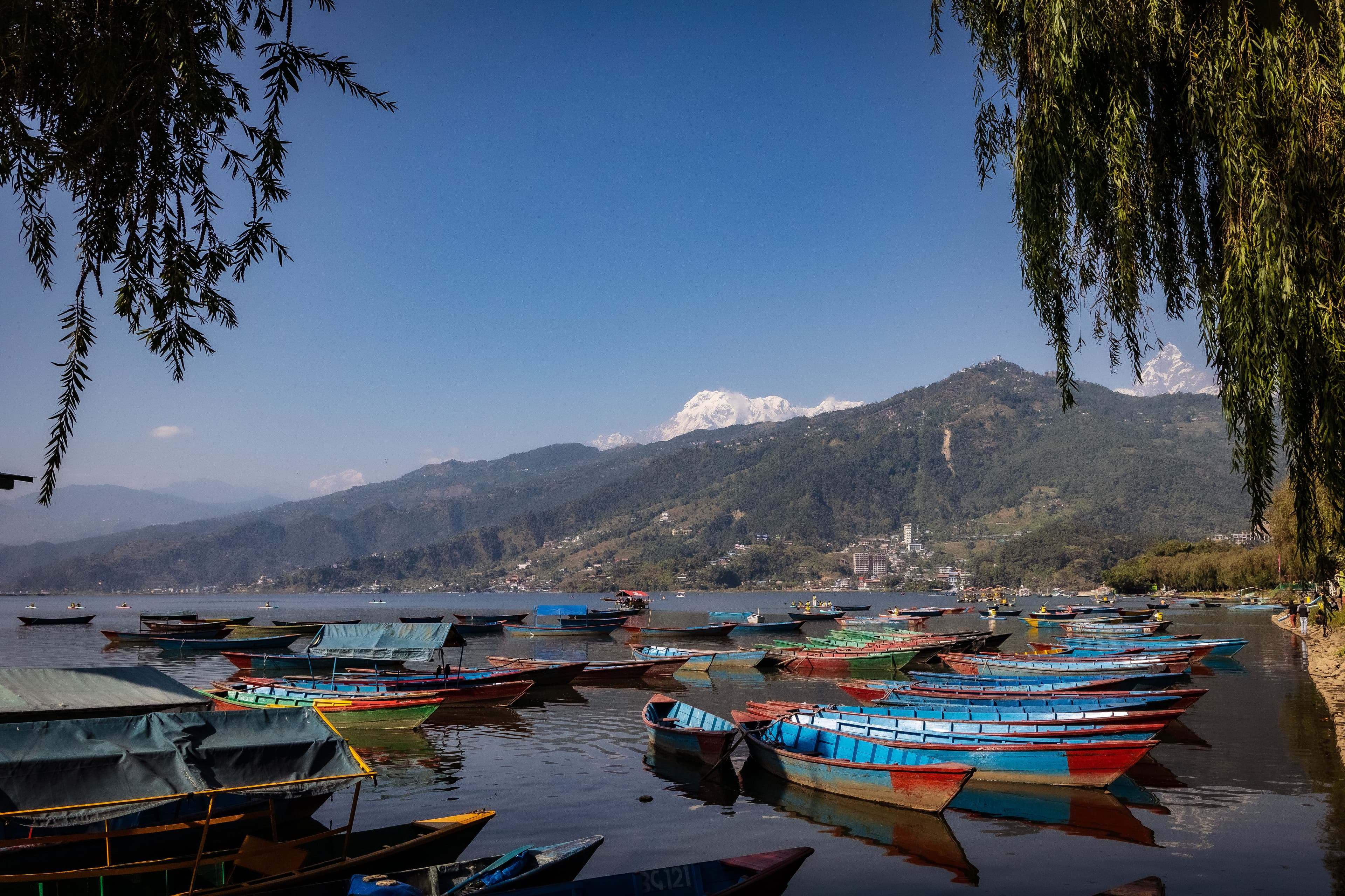 20251117-Loek van Doorn _ Nepal 2025 _ Dhampus-62 copy.jpg