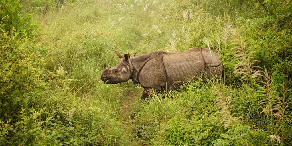 Ultimate_Nepal_Luxury_Holiday5-1633431895.jpg