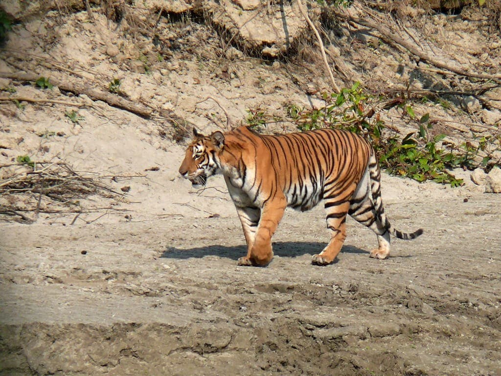 Ultimate_Nepal_Luxury_Holiday96-1633432257.jpg