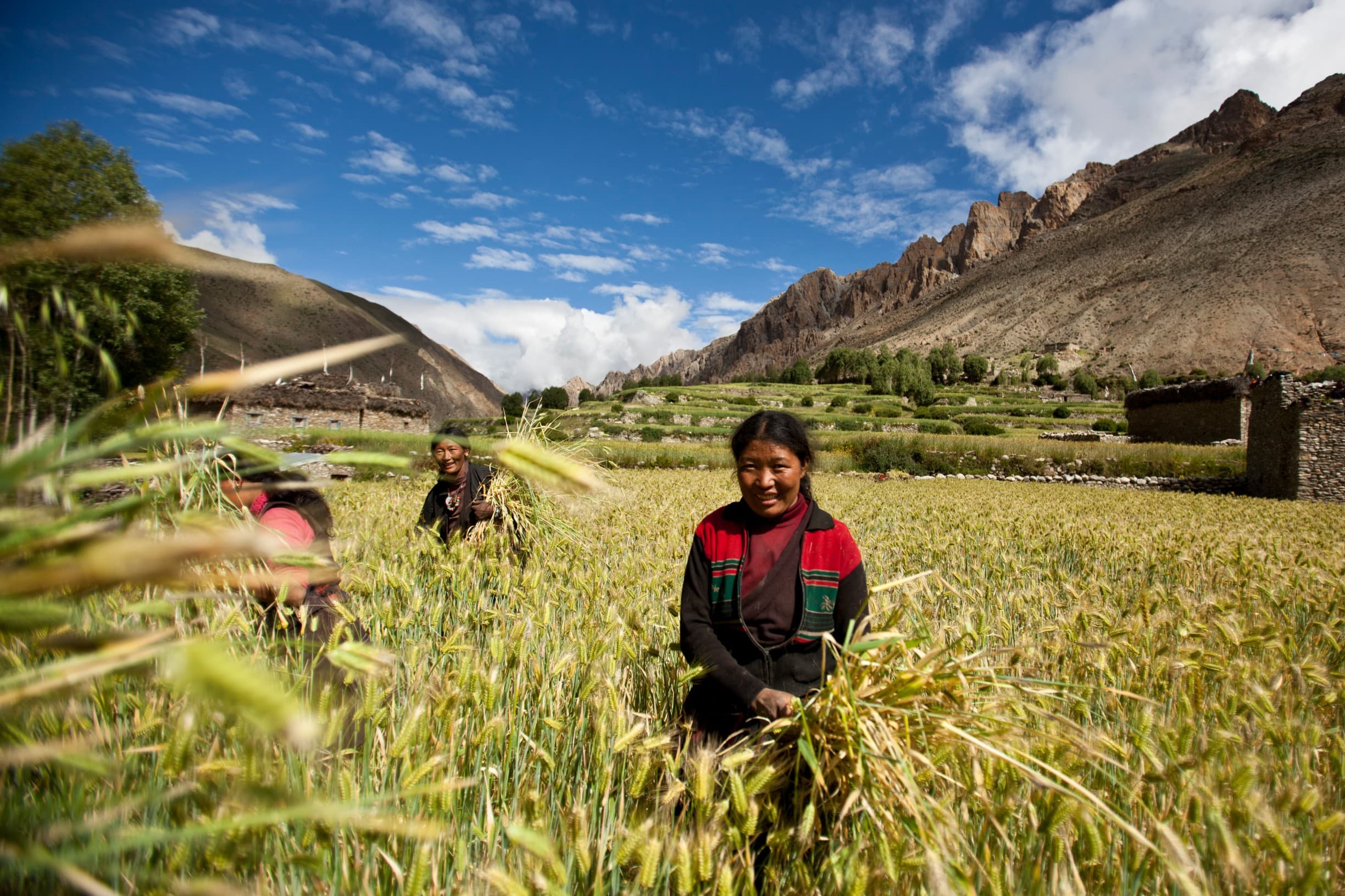 dolpo-village.jpg
